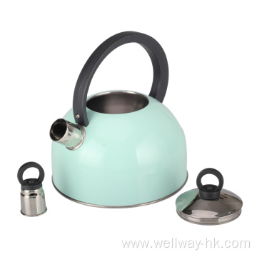 Stainless Steel Whistling Kettle with Handle in Green